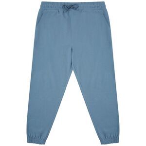 SF Unisex Adult Fashion Cuffed Sweatpants / Stone Blue